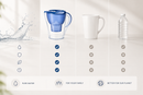 AquaPure Smart Filter Kettle