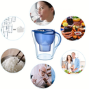 AquaPure Smart Filter Kettle