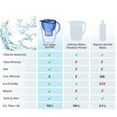 AquaPure Smart Filter Kettle